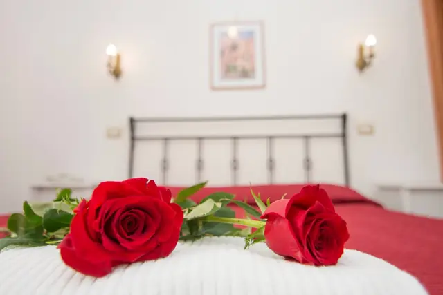 Le foto dell'hotel 41